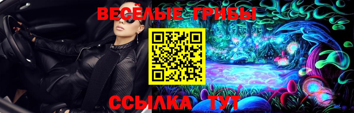 Кирово-Чепецк  Галлюциногенные грибы Psilocybe  Вход с VPN 
